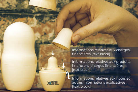 ESEF Block Tagging of Notes - Nested Tags