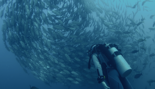 Suptech - Invoke e-Regulatory for Supervisors