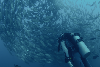 Suptech - Invoke e-Regulatory for Supervisors